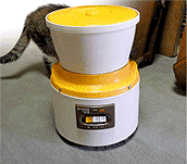 4.gif