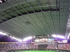 roof.jpg